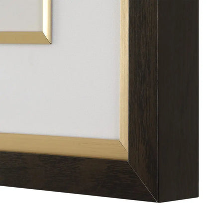 Orchid Botanical Framed Prints Set of 6